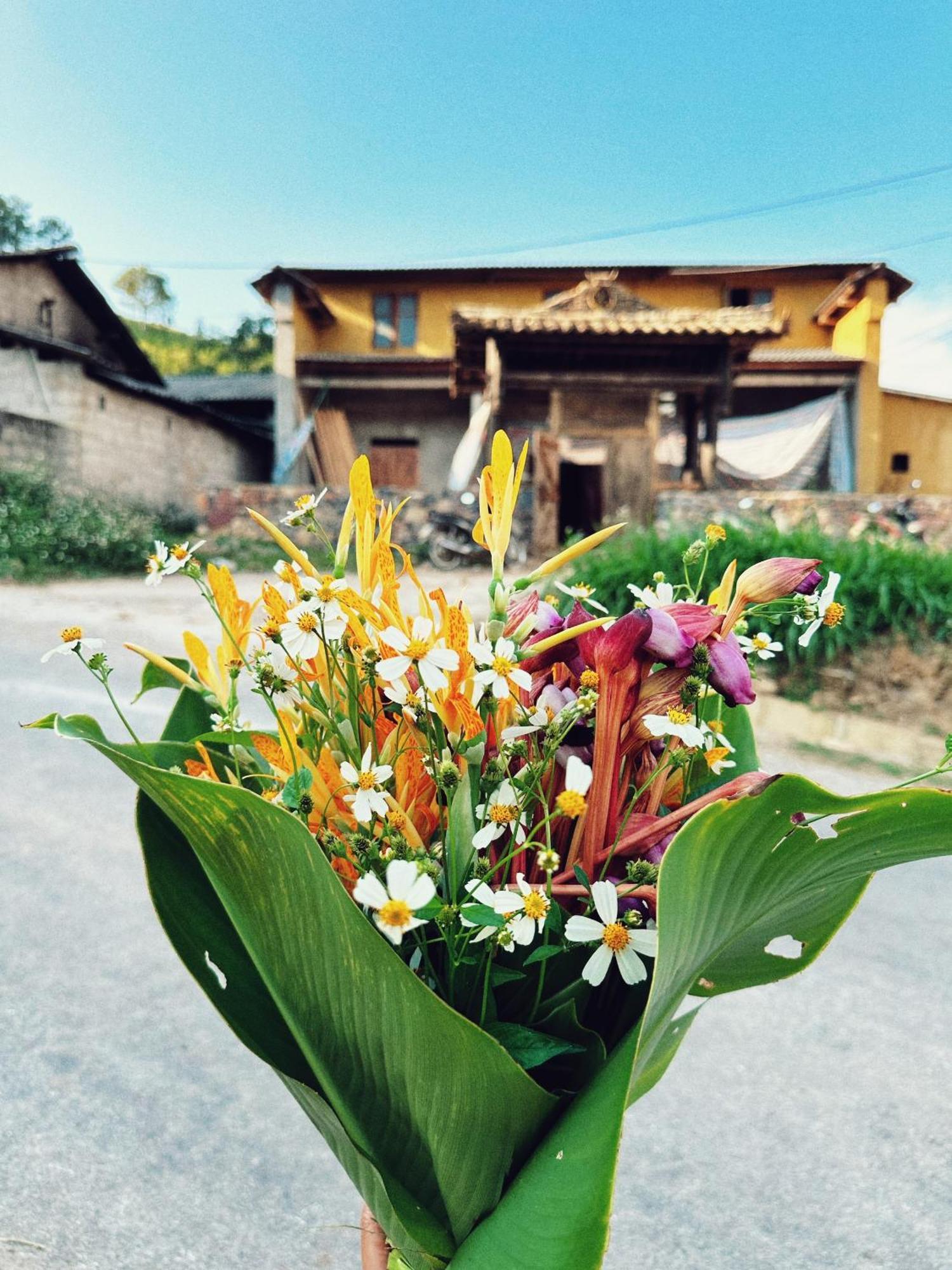 Maison De Hill Home ส่งวัน ภายนอก รูปภาพ