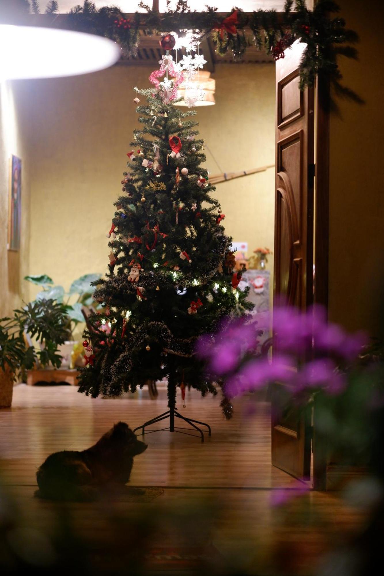 Maison De Hill Home ส่งวัน ภายนอก รูปภาพ